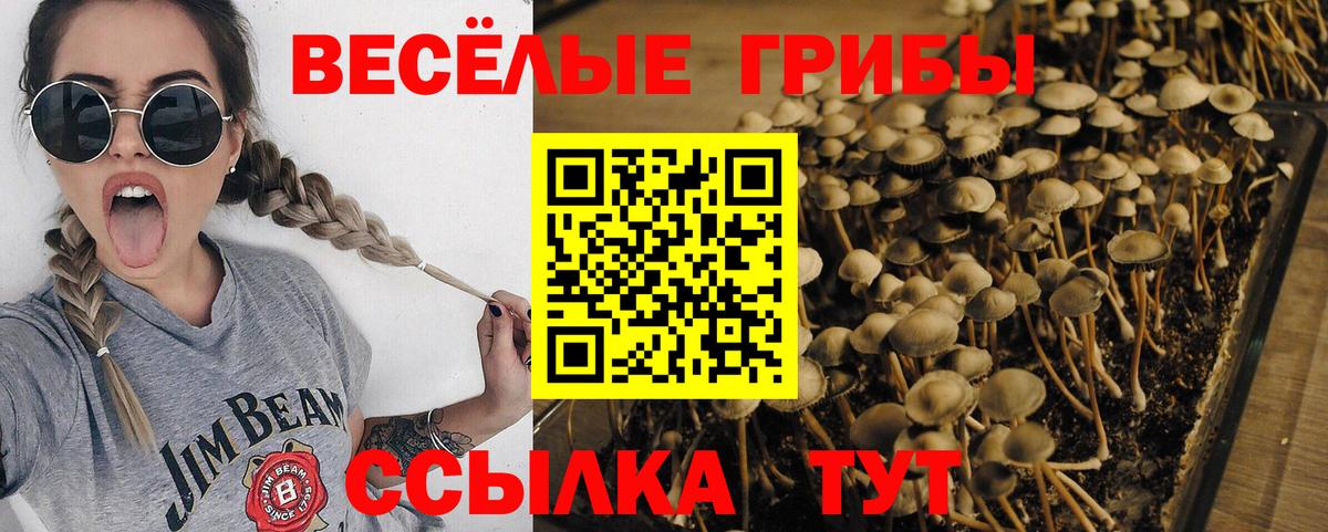Галлюциногенные грибы мухоморы  Вход с VPN  Галлюциногенные грибы Magic Shrooms  Старый Оскол 